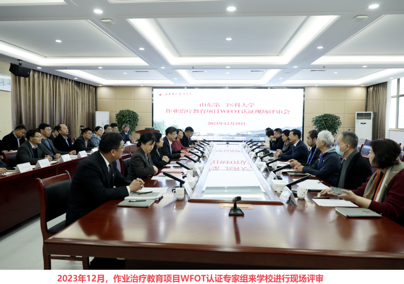 WFOT认证专家组对学校作业治...